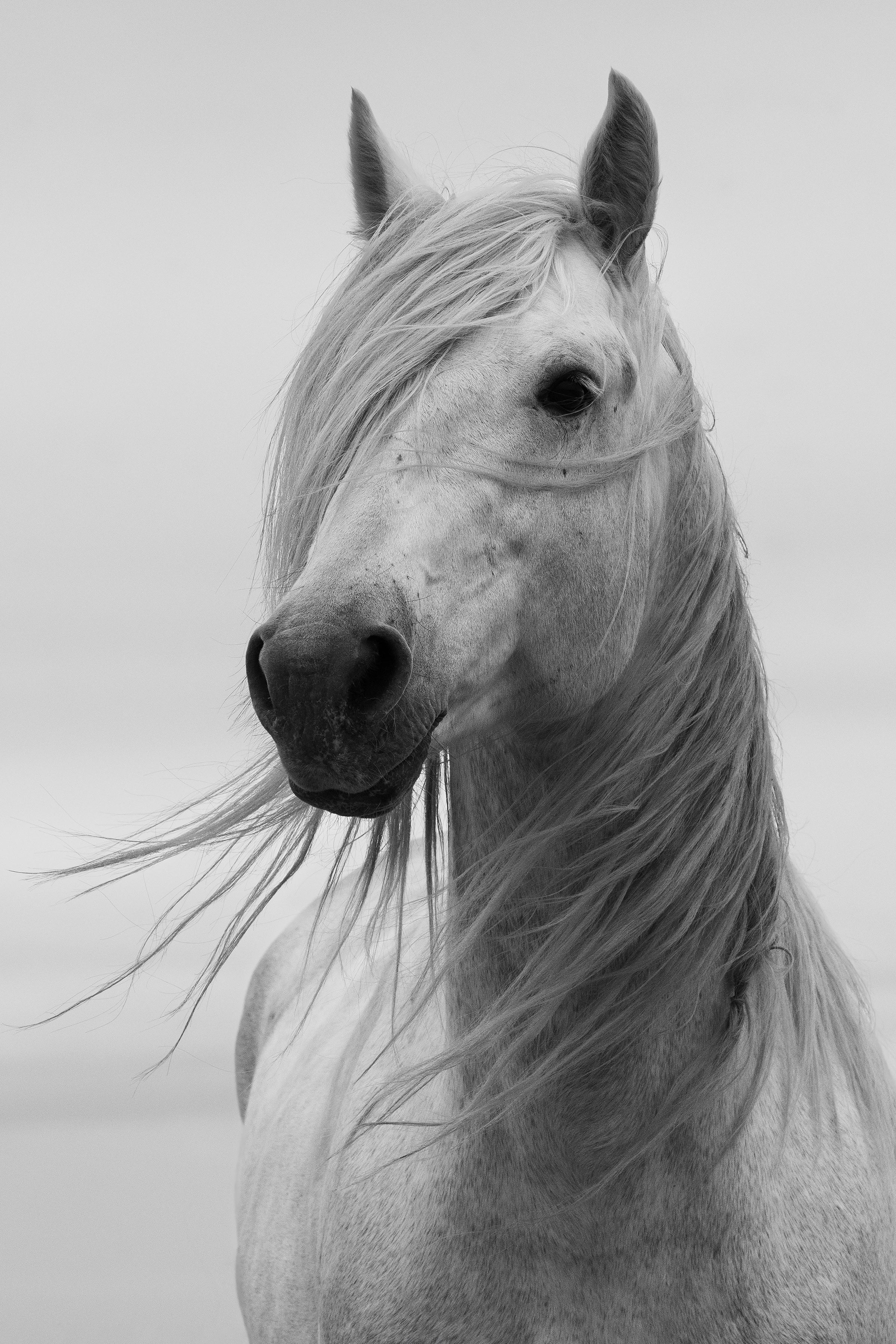 Dragable Image
