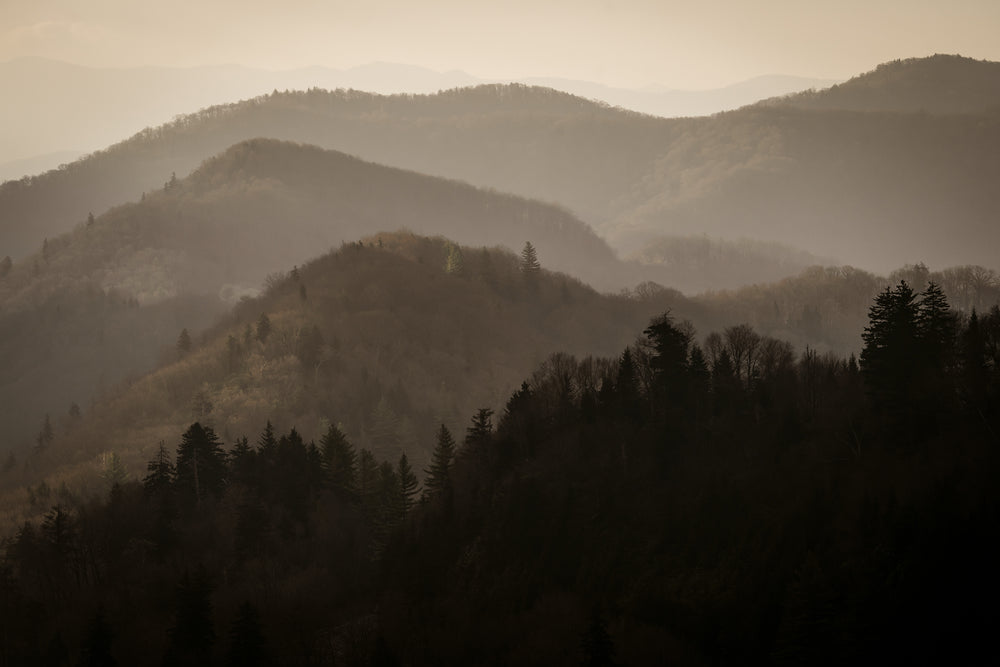 Majestic Vistas I
