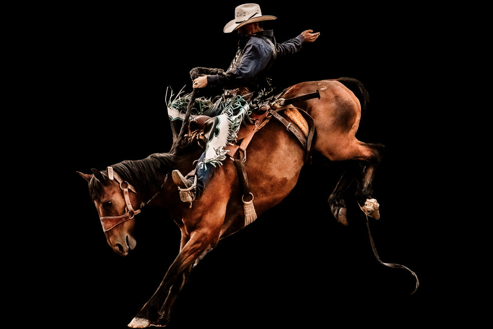 Rodeo Noir I