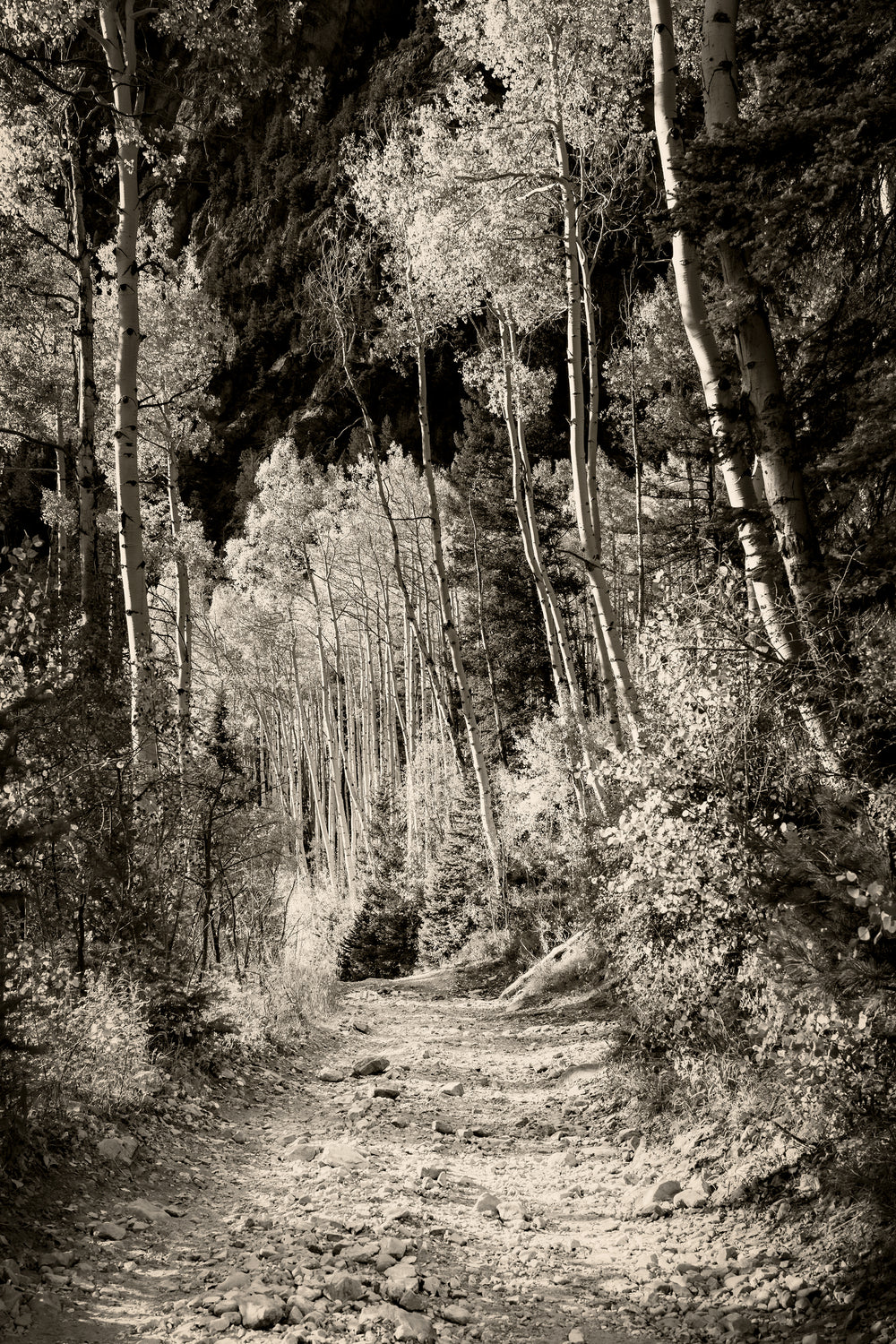 The Trail Less Traveled