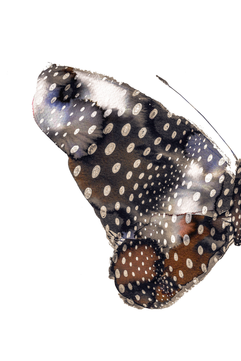 Butterfly III