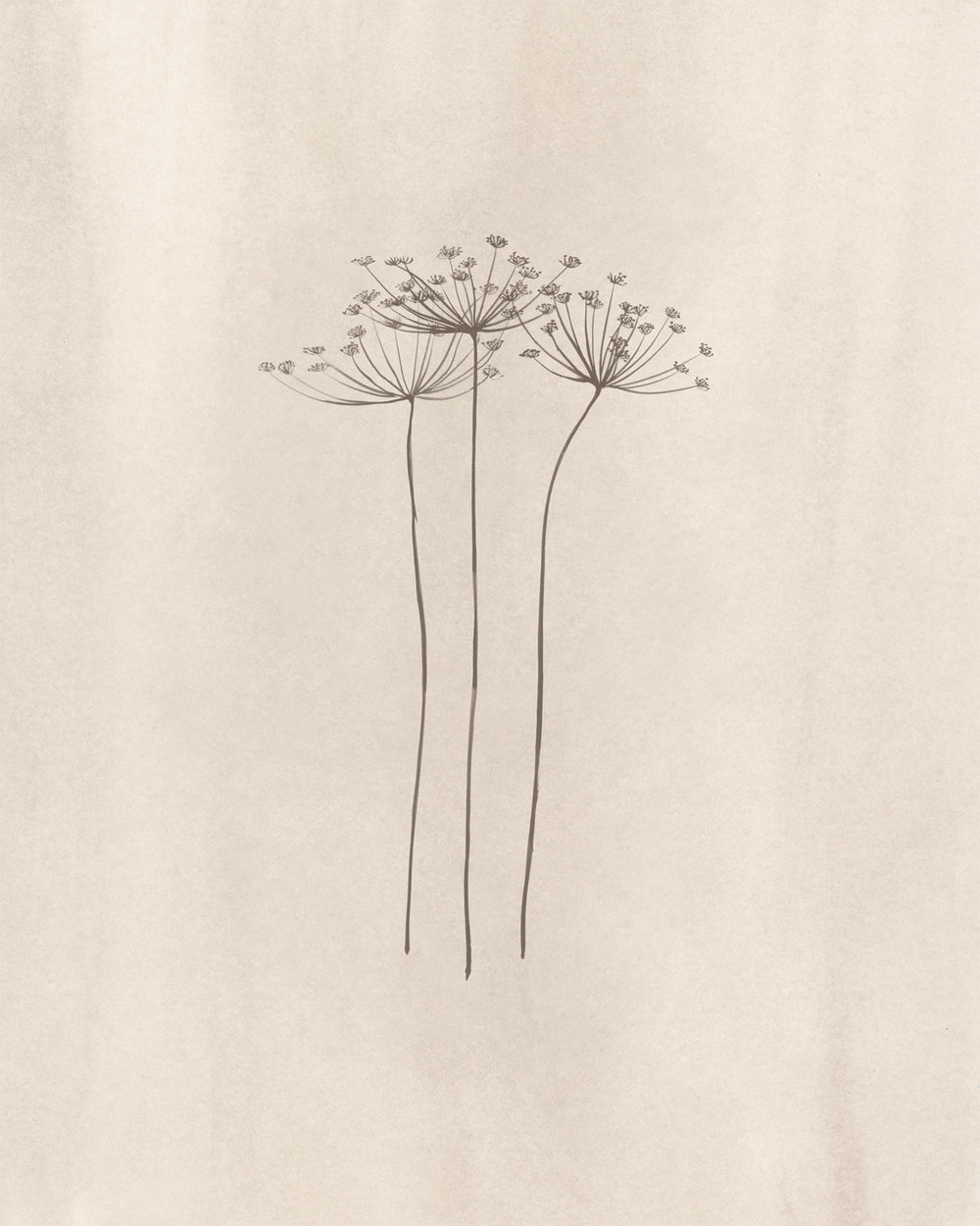 In Bloom I