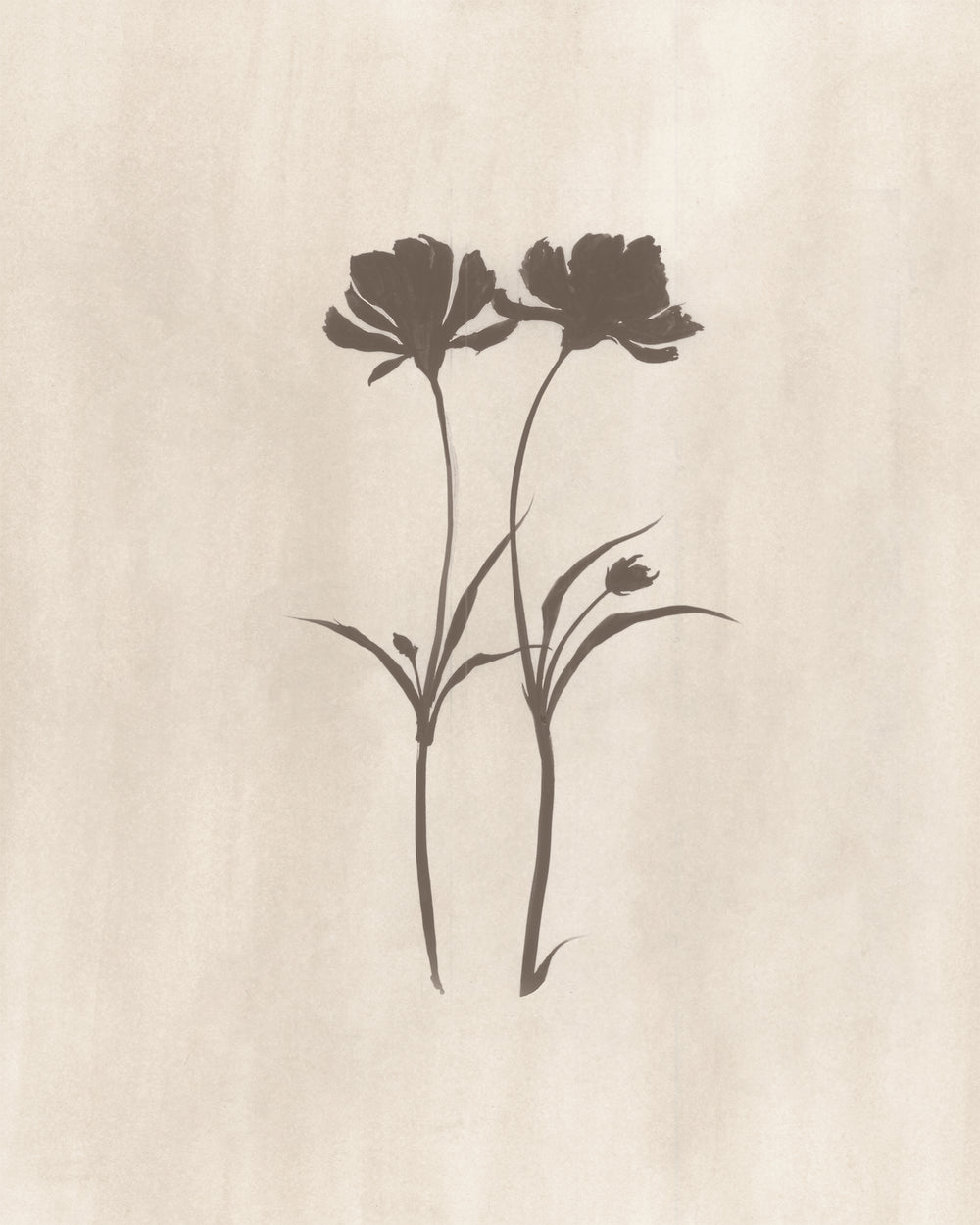 In Bloom V