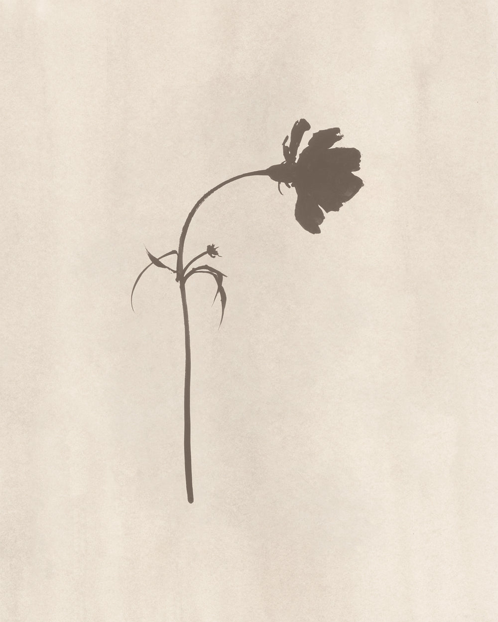 In Bloom VI