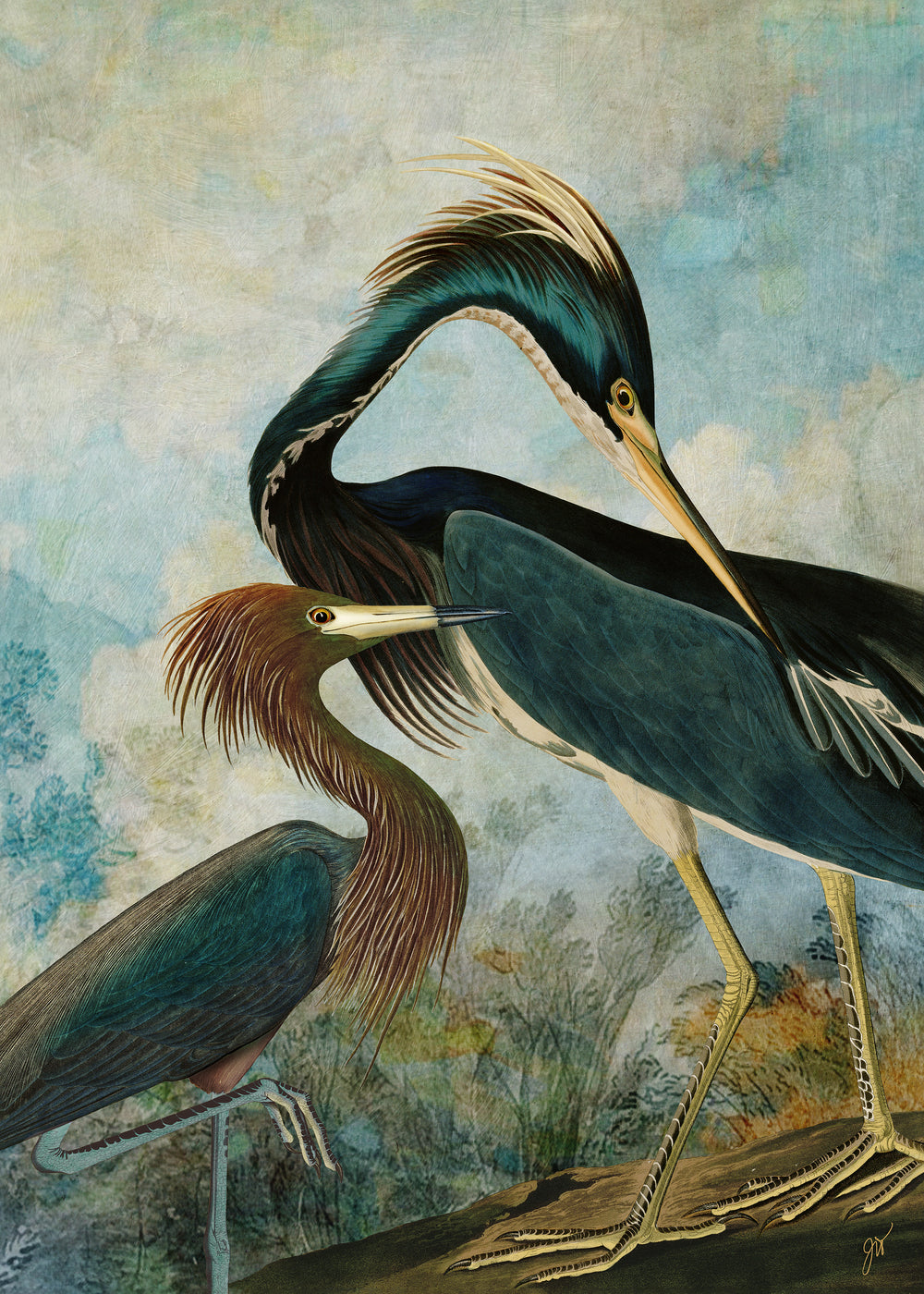 Herons