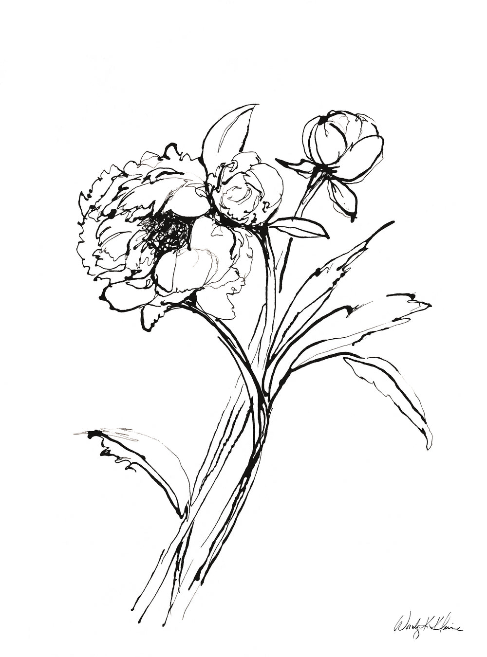 Peony Sketch III