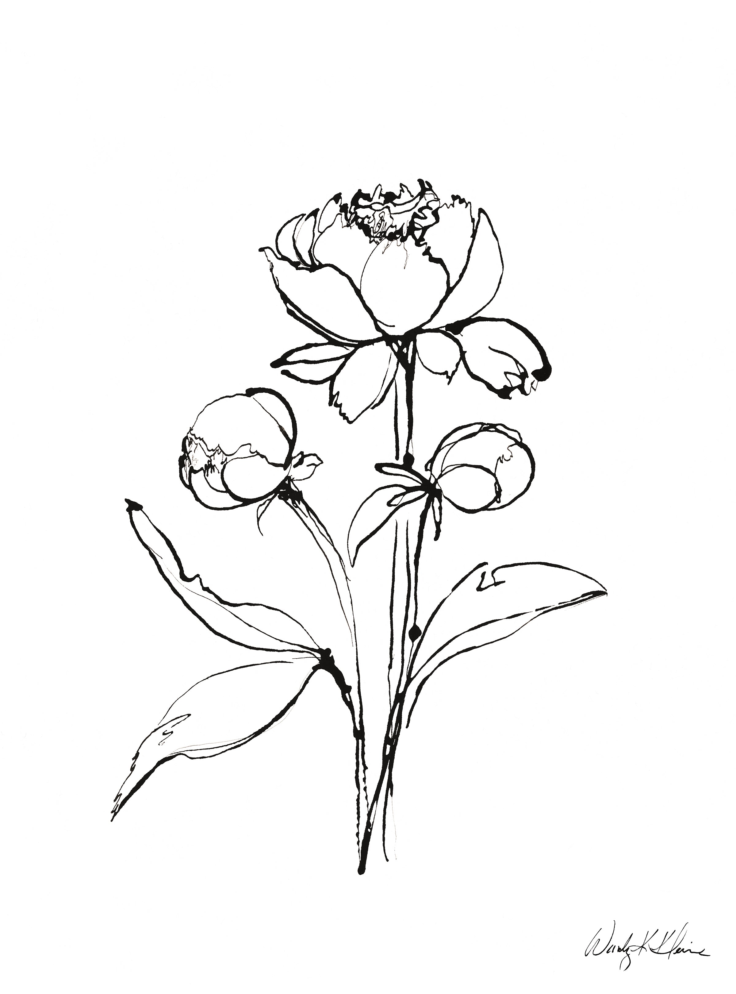 Dragable Image