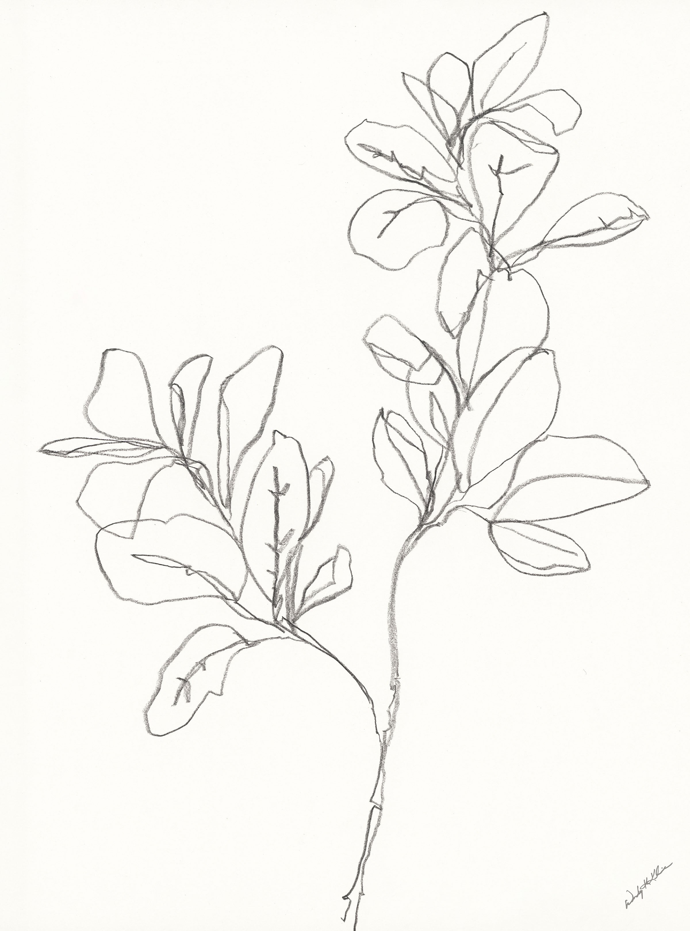 Dragable Image