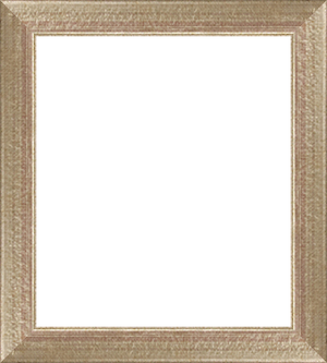 brownframe3_Large_frameOnly