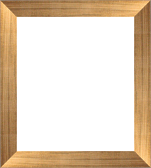 floterframegold_Large_frameOnly